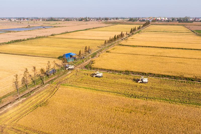 |凯发网娱乐官网游戏登录乘着改革开放的时代大潮阔步前行——习主席二〇二五年新年贺词激励人民满怀希望迎接新的一年